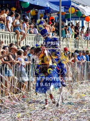 Detalhes da foto #60509