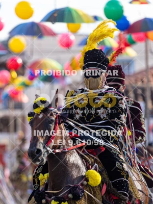 Detalhes da foto #37142