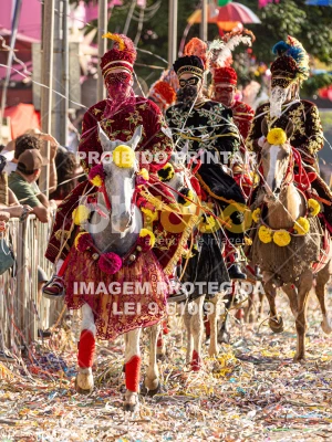 Detalhes da foto #73755