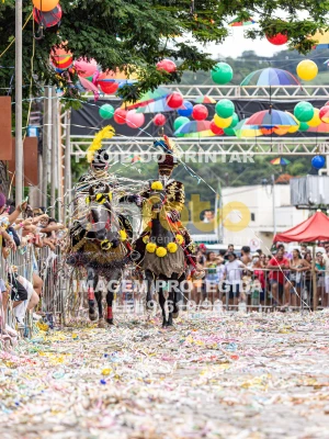 Detalhes da foto #28292