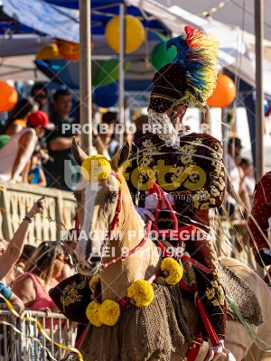 Detalhes da foto #56456