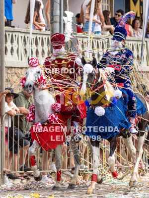 Detalhes da foto #20343