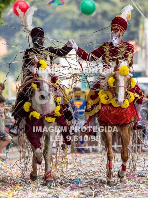 Detalhes da foto #15363