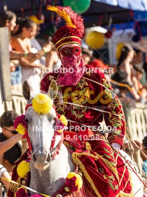 Detalhes da foto #87025