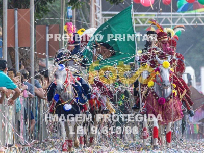 Detalhes da foto #35073