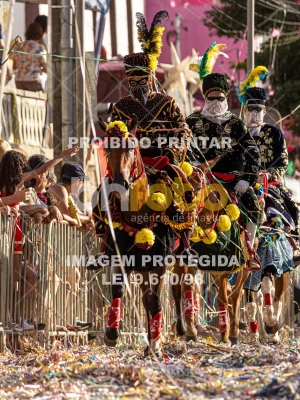 Detalhes da foto #50923