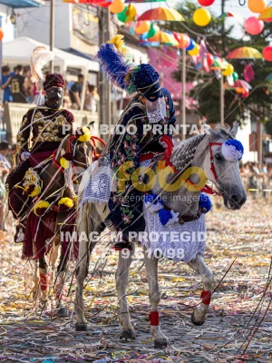 Detalhes da foto #71674