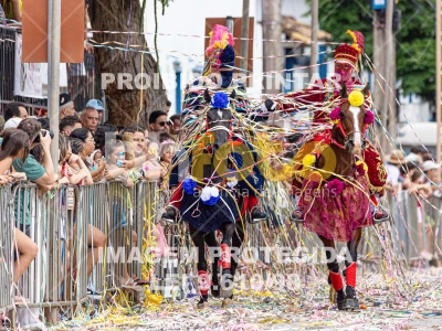 Detalhes da foto #84543