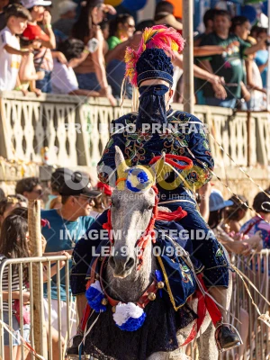 Detalhes da foto #91842