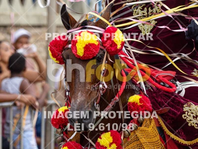 Detalhes da foto #36085