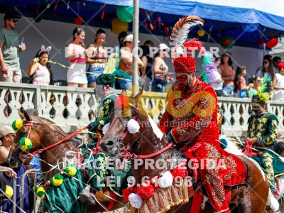 Detalhes da foto #88489