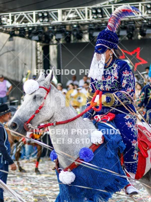 Detalhes da foto #42515