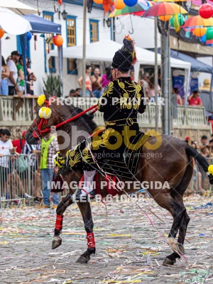 Detalhes da foto #11920