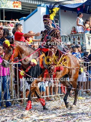 Detalhes da foto #97897