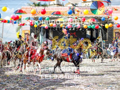 Detalhes da foto #42278