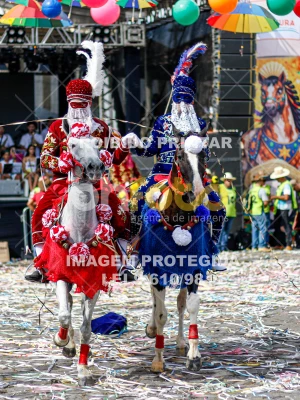 Detalhes da foto #47401