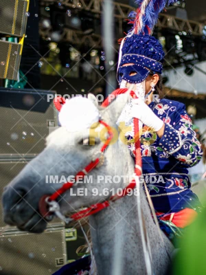 Detalhes da foto #76566