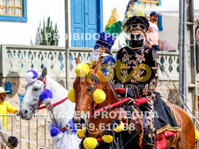 Detalhes da foto #45077