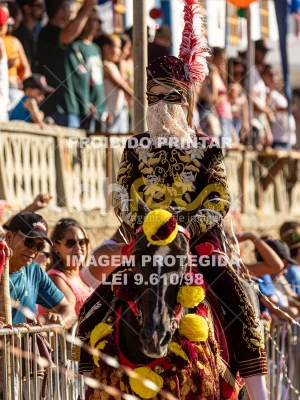 Detalhes da foto #20946