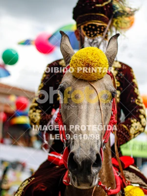 Detalhes da foto #93445