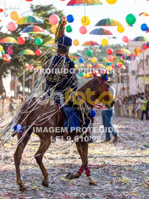 Detalhes da foto #74053