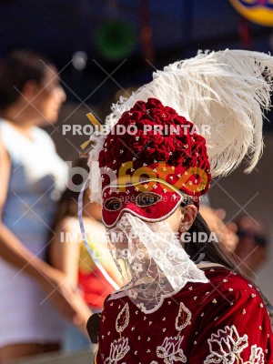 Detalhes da foto #94287