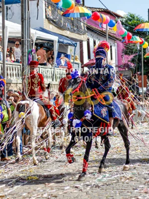 Detalhes da foto #57118