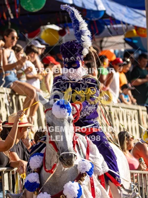 Detalhes da foto #92536