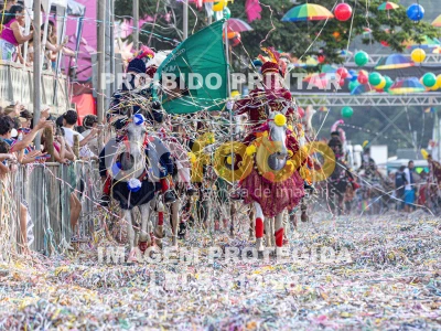 Detalhes da foto #79345