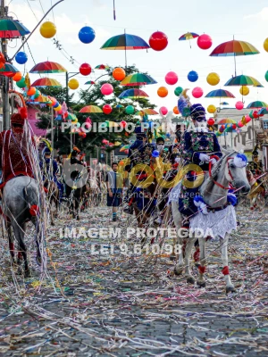 Detalhes da foto #10232