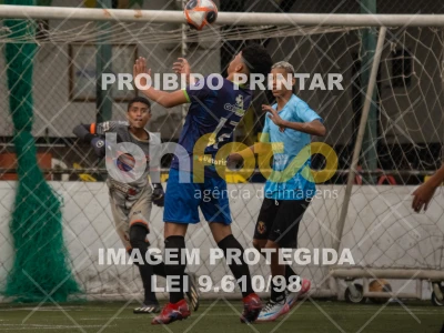 Detalhes da foto #4207172