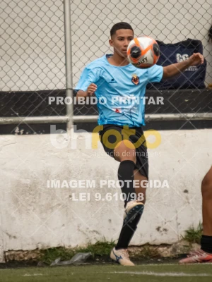 Detalhes da foto #3948496