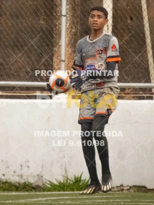 Detalhes da foto #8726308