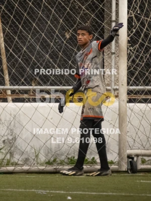 Detalhes da foto #2528615